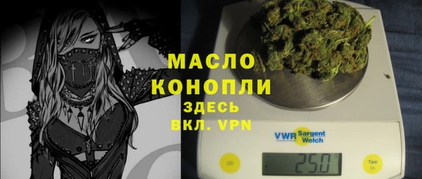 шишки Абаза