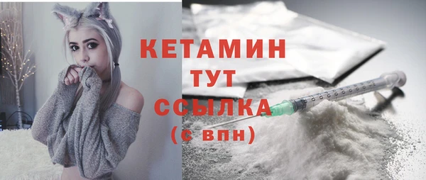шишки Абаза