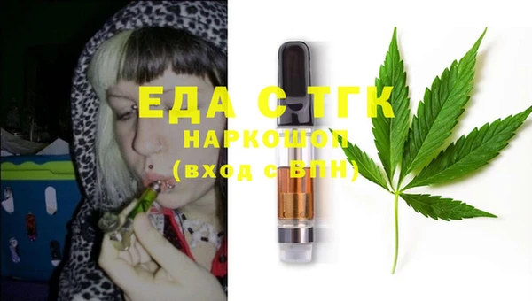 индика Абинск