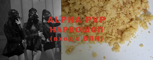 шишки Абаза