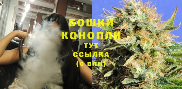 шишки Абаза