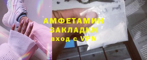 шишки Абаза