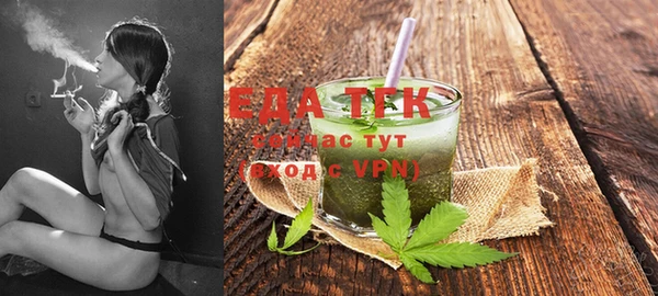 индика Абинск
