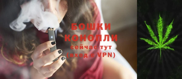индика Абинск