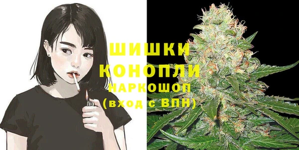 шишки Абаза