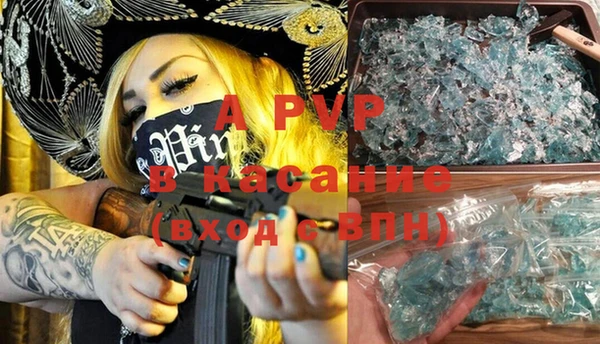 шишки Абаза