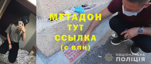 шишки Абаза