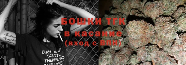 индика Абинск