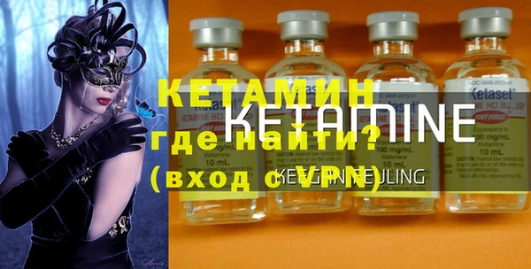 шишки Абаза