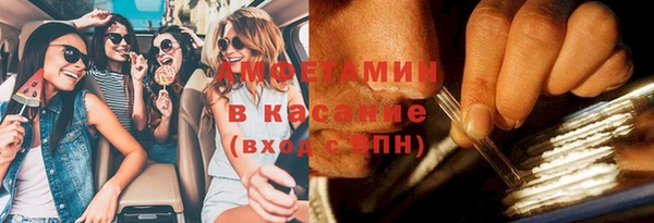шишки Абаза