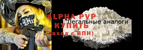 шишки Абаза