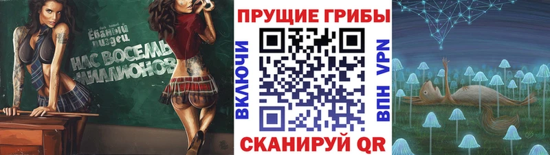 Псилоцибиновые грибы ЛСД Брюховецкая